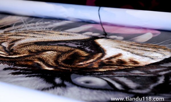 湖南省長(zhǎng)沙市十大特產(chǎn)有哪些