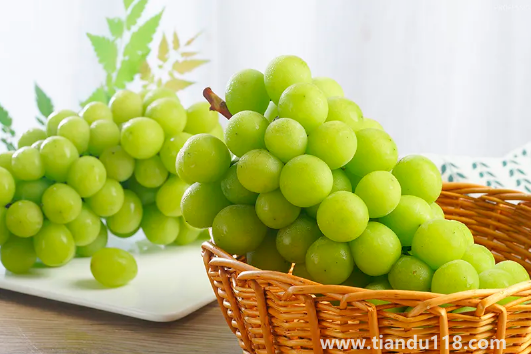 陽光玫瑰是晴王葡萄嗎1