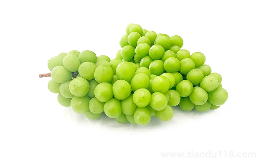 陽光玫瑰葡萄是熱性還是涼性1