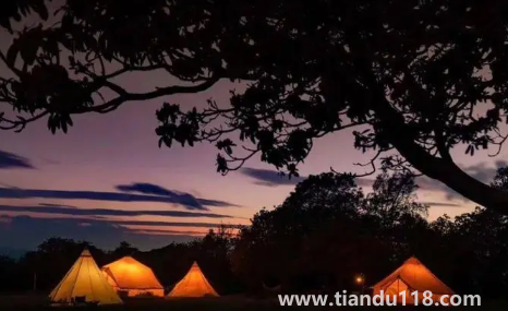 夏天去海邊露營冷嗎20221