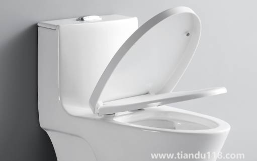 馬桶圈裂了有單賣的嗎1