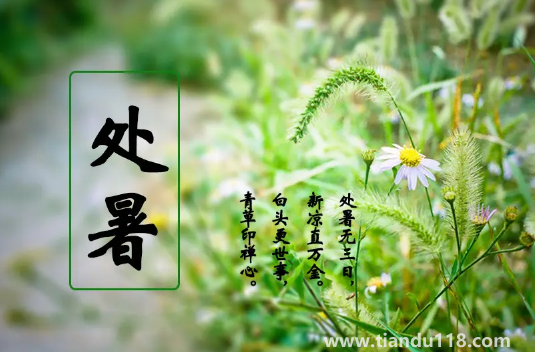 2022年處暑是幾月幾號幾點(diǎn)幾分幾秒鐘3