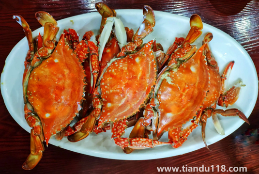 蒸梭子蟹要放生姜片嗎1