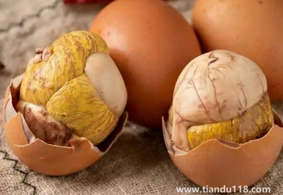 活珠子男人吃了補(bǔ)身體嗎(活珠子怎么吃)(圖3) 活珠子男人吃了補(bǔ)身體嗎3