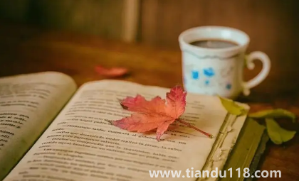 2022年專升本是大二考還是大三考1