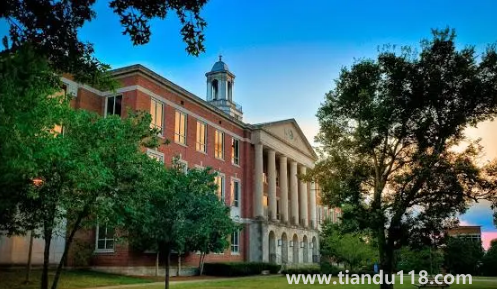 大學(xué)專升本只有一次機(jī)會(huì)嗎1