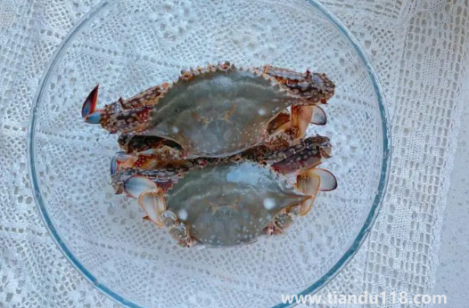 梭子蟹幾月份最便宜1