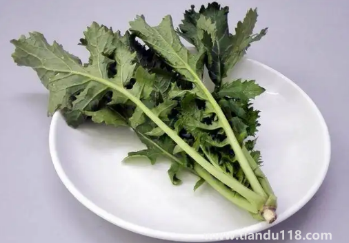 雪里蕻的功效與作用3