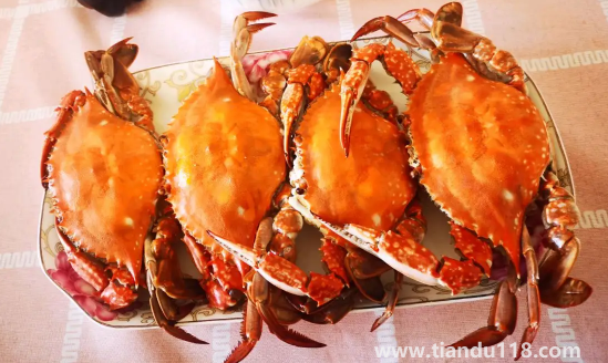 蒸梭子蟹放鹽還是不放鹽好吃2