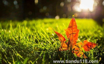 夏天有多熱冬天就有多冷是真的嗎20232