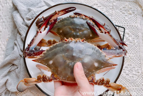 梭子蟹買(mǎi)回來(lái)沒(méi)多久就死了可以吃嗎（梭子蟹的做法推薦）