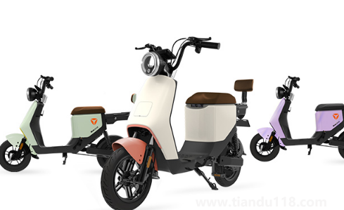 為什么小偷不偷雅迪電動(dòng)車1