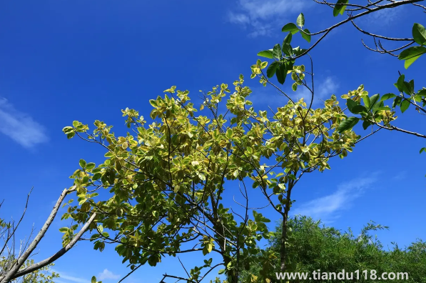 2022年中秋節(jié)后天氣還熱嗎（中秋節(jié)有什么講究）