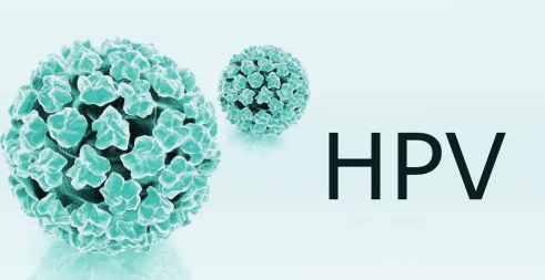 支付寶九價疫苗預(yù)約要多久3