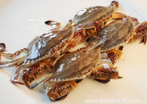 梭子蟹用高壓鍋蒸多長時間3