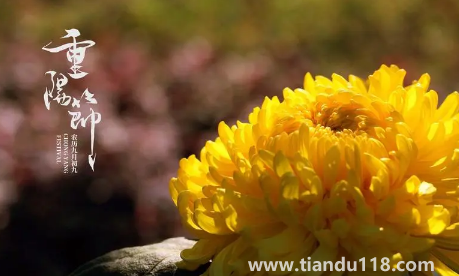 2022年重陽節(jié)天氣冷嗎（重陽節(jié)溫度大概多少度）