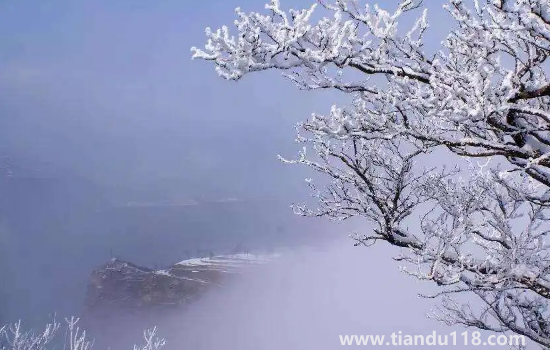 2022數(shù)九從哪一天開始到哪一天結(jié)束2