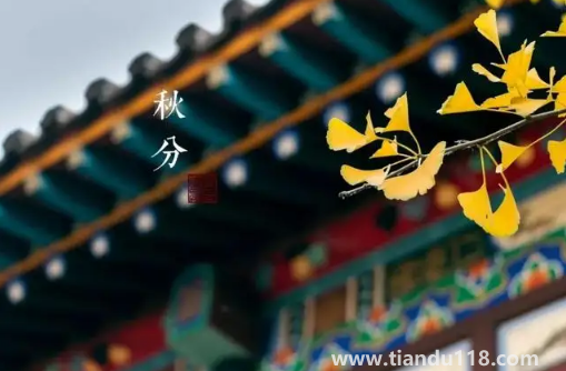 2022年秋分是農(nóng)歷幾月幾號幾點幾分幾秒3