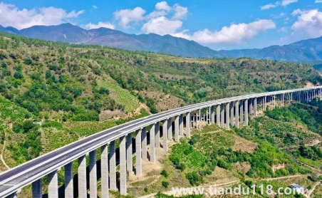 2023年元旦高速免費嗎3