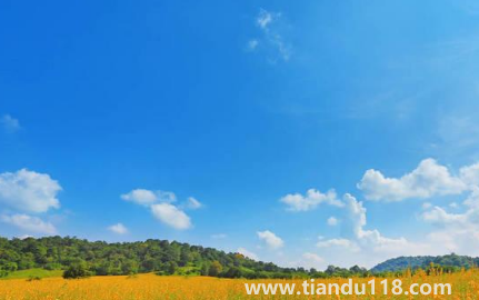 2022年幾月份就轉(zhuǎn)涼了1