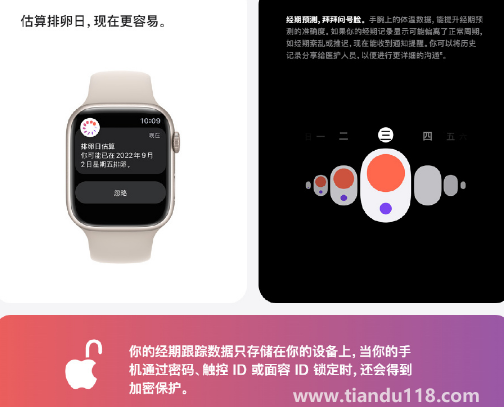 蘋果手表可精準預(yù)測女性排卵期是哪個型號3