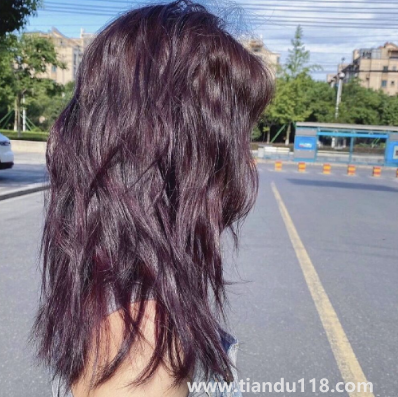 黑紫色和黑加侖紫是一個(gè)顏色嗎3