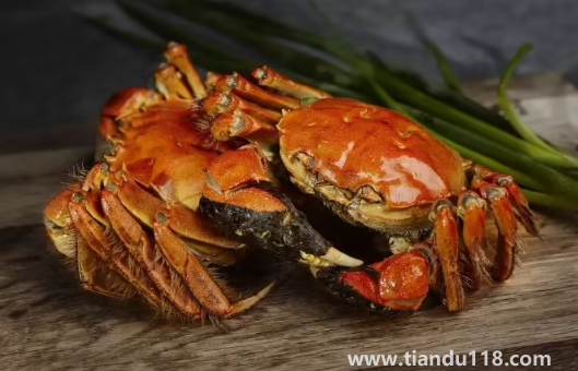 大閘蟹可以帶上高鐵動車嗎2