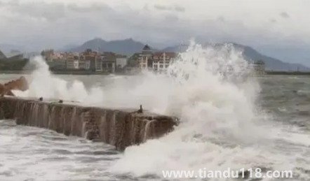 2022年臺風梅花什么時候登錄山東1