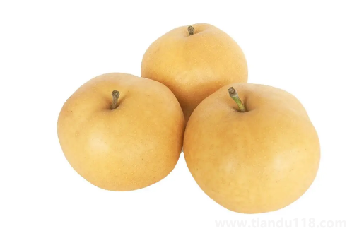 秋月梨是軟的還是脆的（秋月梨怎么吃好）