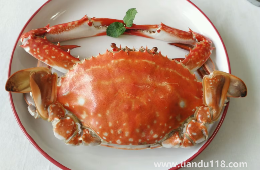 青蟹和梭子蟹哪個(gè)更寒（青蟹和梭子蟹哪個(gè)好吃）