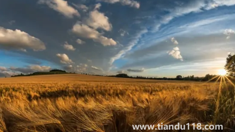 2022河南冬天是濕冷還是干冷3