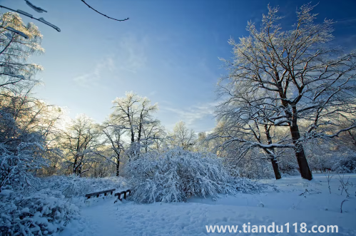 今年冬天會不會很冷2022-20231