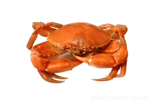 青蟹什么時(shí)候最肥最好吃2