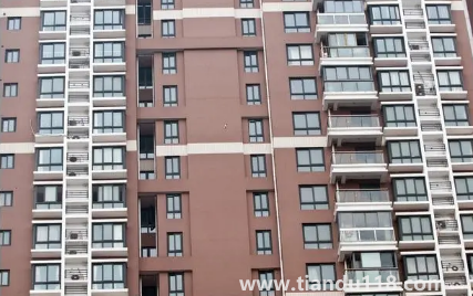 房間里放植物能增強(qiáng)活力陽氣嗎1