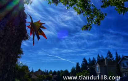 云南11月份溫度一般是多少1