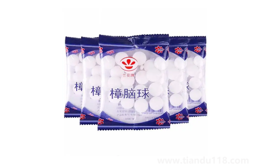 老鼠怕什么氣味一聞就跑3