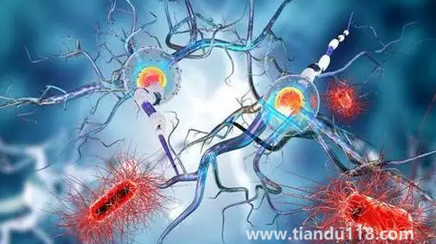 化療會讓女人更快衰老嗎2