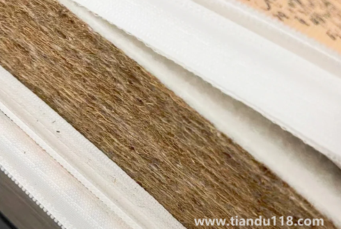 椰棕會不會生蟲子2