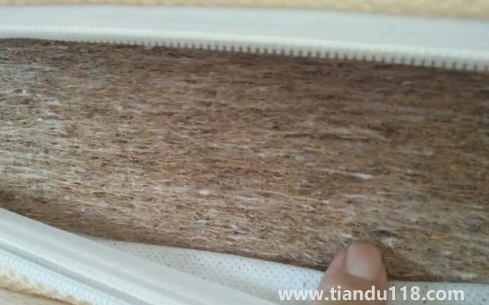 椰棕會不會生蟲子3