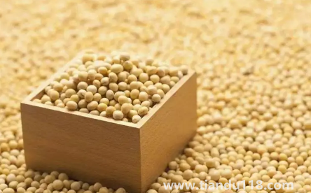 大豆被和蠶絲被哪個(gè)適合孩子2