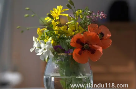 網(wǎng)上買的鮮花要醒花多久1