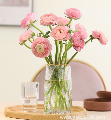 網購鮮花如果不醒花能放多久1