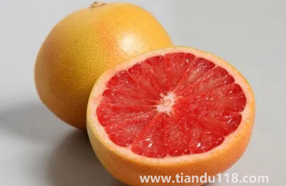 葡萄柚上火還是下火3