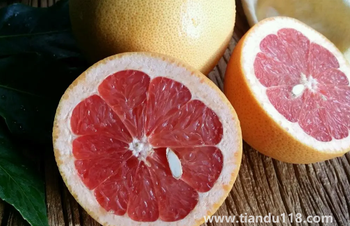 葡萄柚上火還是下火2