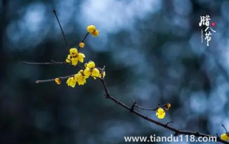 臘八節(jié)燒紙好不好1