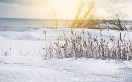 2022小雪節(jié)氣是初冬嗎2