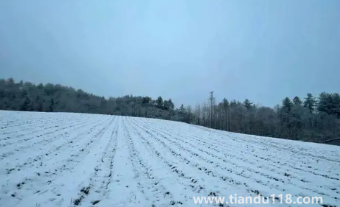 2022小雪過后就開始數(shù)九了嗎2