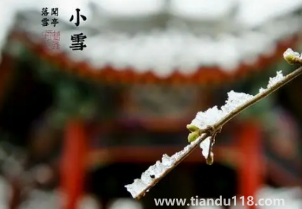 2022年小雪節(jié)氣艾灸有什么好處2