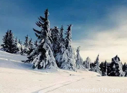 2023大寒是不是三九的第一天（大寒天氣怎么樣）