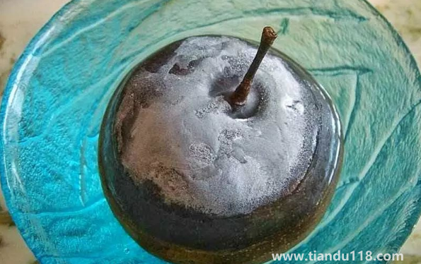 凍梨吃的時(shí)候要解凍嗎（凍梨的正確吃法）